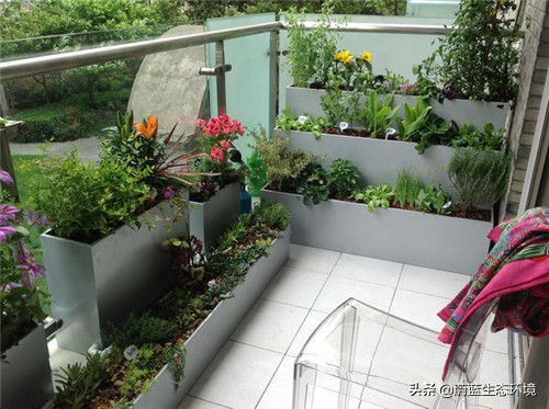 四月份适合在阳台上种植的蔬菜,阳台上种植营养液体蔬菜