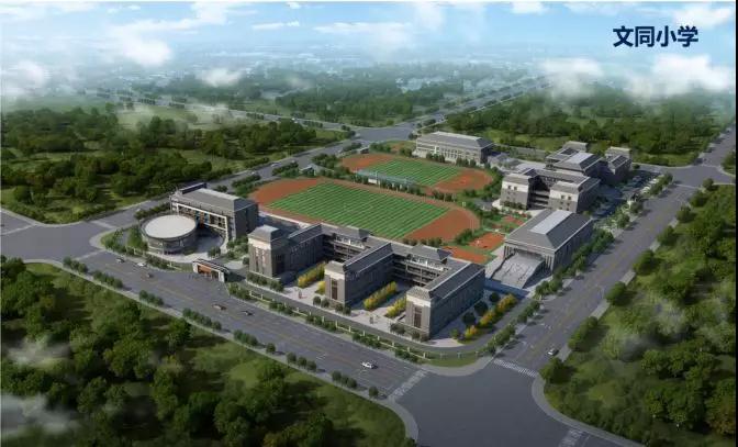 全球启动！仁寿城市发展再升级，牛牛牛！