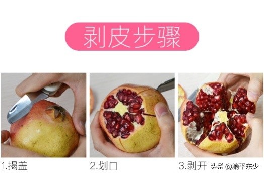 突尼斯软籽石榴苗真假辨别图片,突尼斯软籽石榴正宗苗