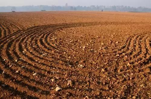 生僻字原唱完整版抖音,抖音网红生僻字是谁唱的