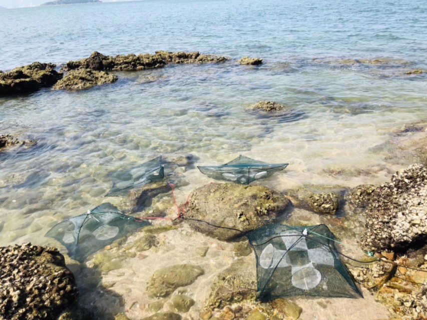 惠州檀悦豪生度假酒店附近赶海,2024年惠州赶海的最佳地方