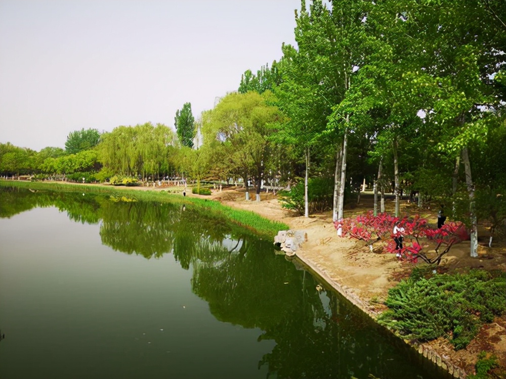 顺义滨河森林公园景观,顺义新城滨河森林公园抖音团购