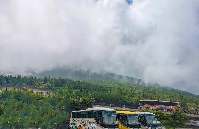 去富士山看樱花,日本富士山浪漫