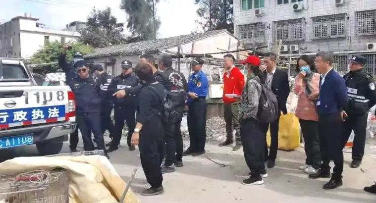 去非法屠宰场杀猪被抓,非法屠宰鸡鸭怎么处罚