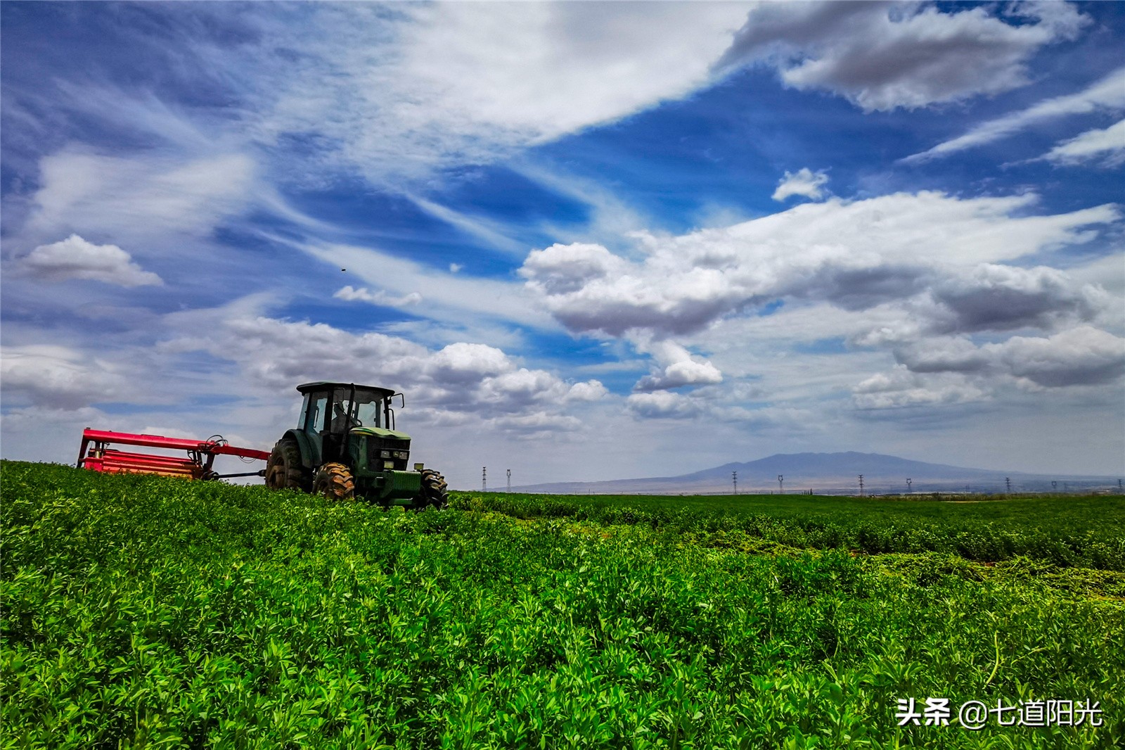 宁夏红寺堡玉米收割,宁夏红寺堡农活视频