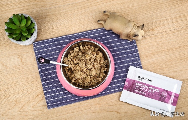 新手铲屎官要养狗要准备什么,新铲屎官养狗必备好物