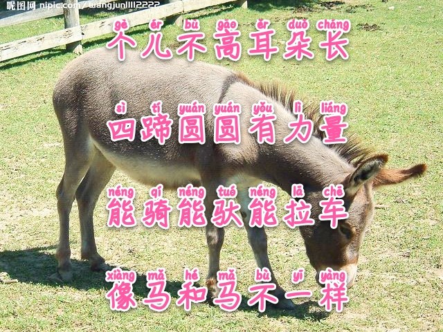 常与孩子猜谜100条儿童谜语建议,经典谜语清单让你的宝宝变聪明