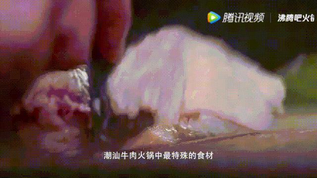 明星投毒吓人事件,深夜放毒招人恨的视频