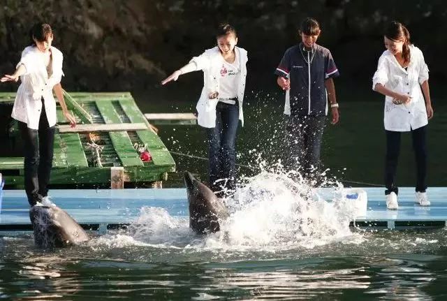 《人间尽兴清单》华姐的打开方式,你根本想不到