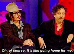 德普最喜欢的人,德普真正爱的人