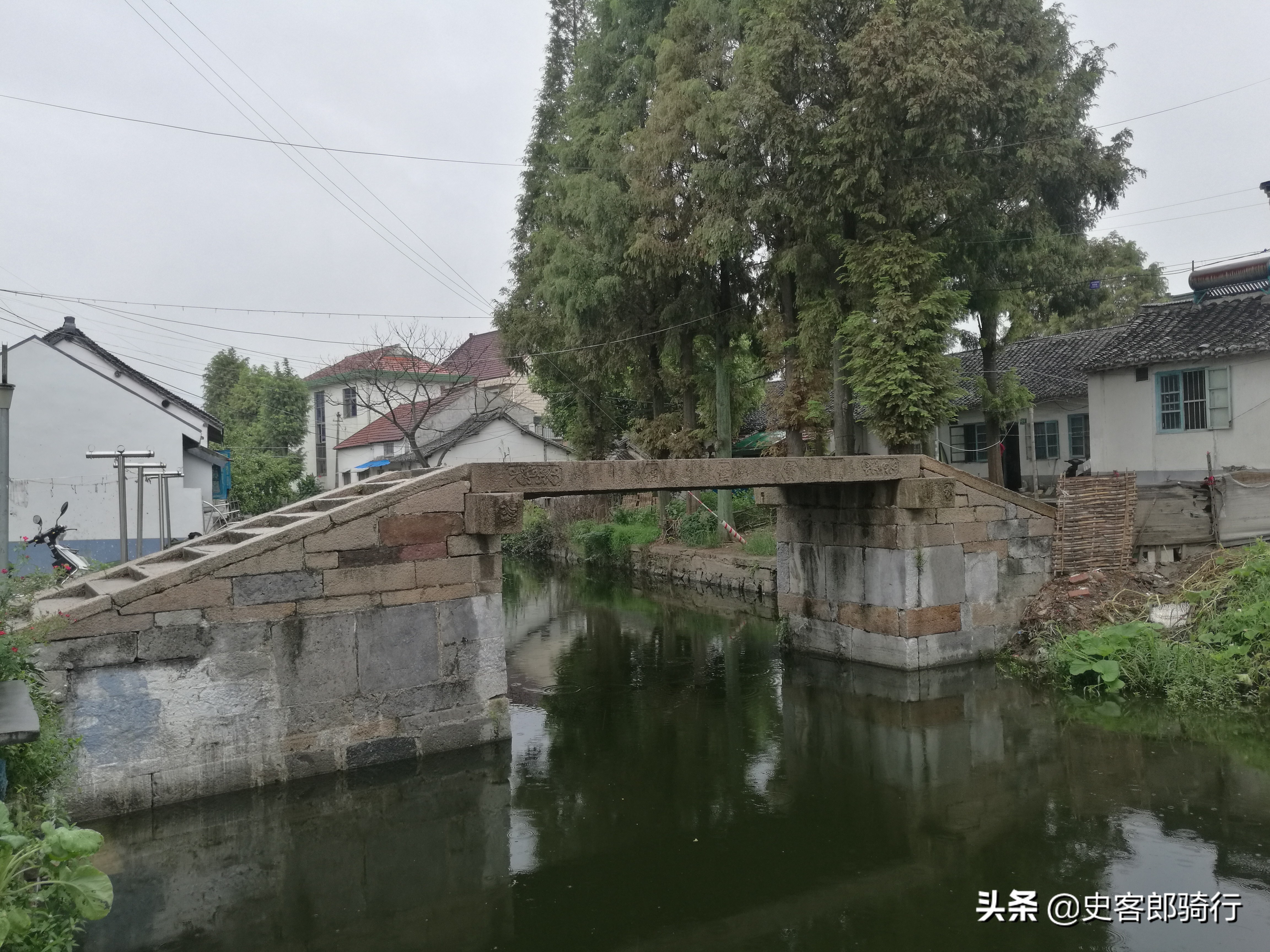 上海骑行看樱花,坐车看上海夜景