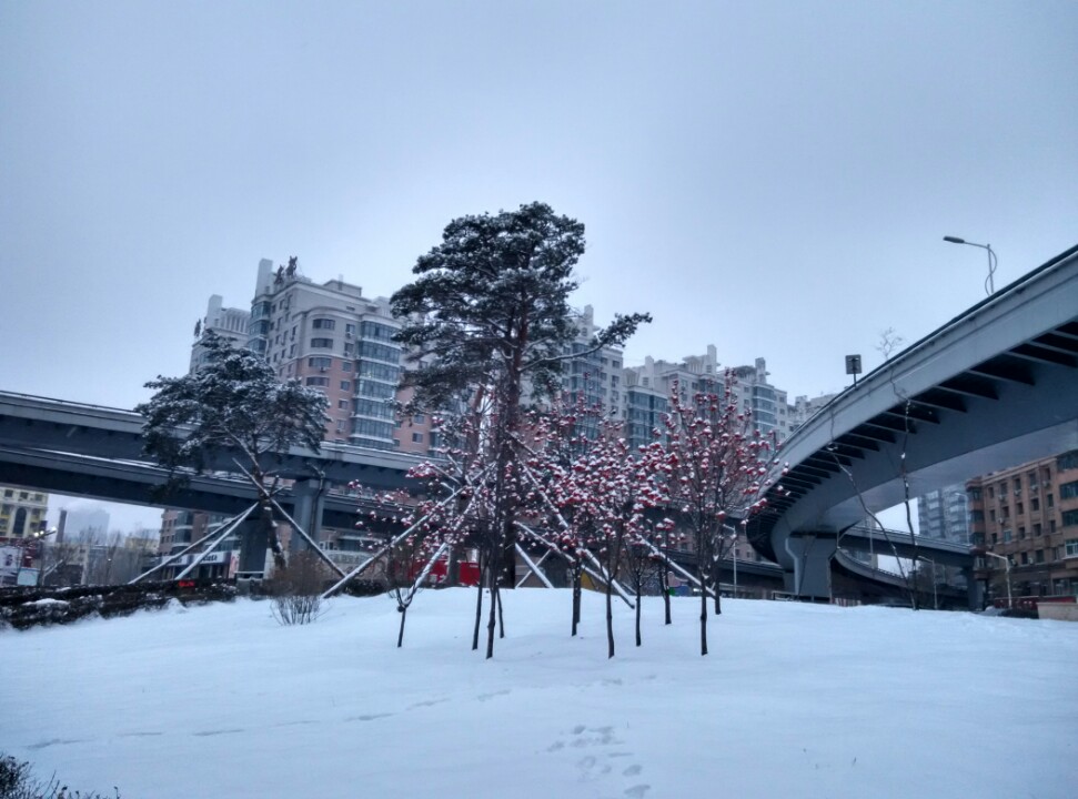 信守承诺和言出必行的重要性,信守承诺抖音