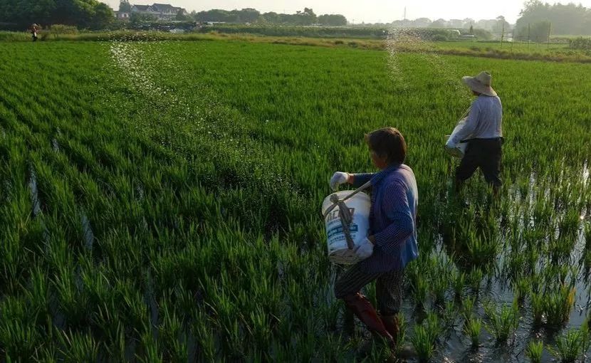 14亿人口一天排泄多少吨大便,全国人每天产生的屎尿都去哪了