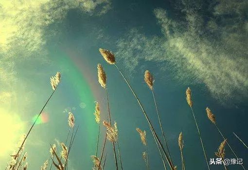 2023年的寒衣节有啥讲究,去世第一年寒衣节有什么讲究