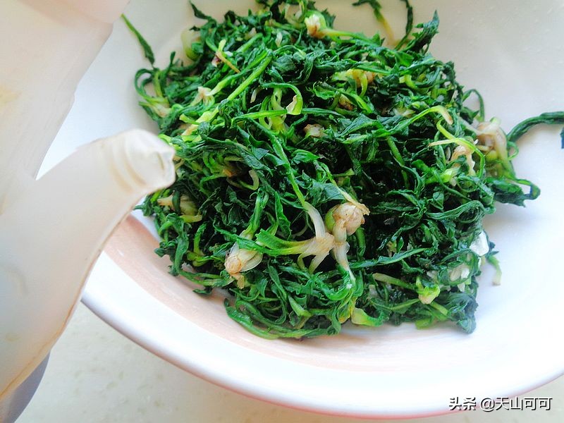 什么野菜吃了利尿降火补肾的,比肉还好吃的10种野菜做法