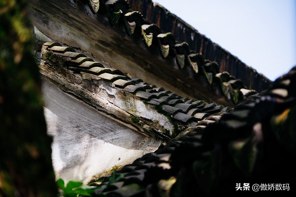 拙政园最让人欣赏的地方,拙政园十大特色