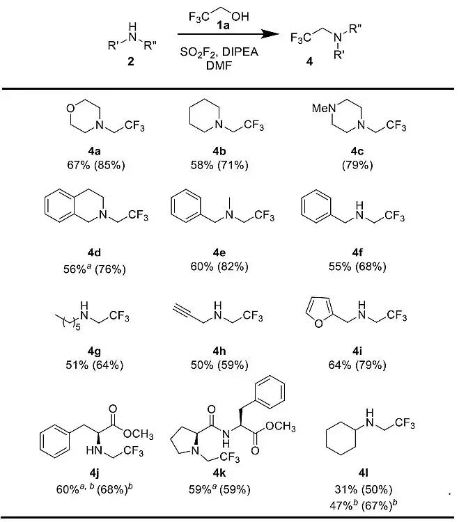 磺酰氟对胺的一锅法1,1-二氢氟烷基化反应