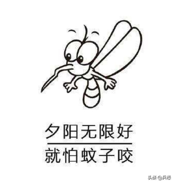 关于蚊子的知识介绍笔记,关于蚊子的知识幼儿园