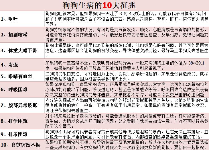 如何防止狗狗舔自己的爪子,狗狗总爱舔人的皮肤怎么办