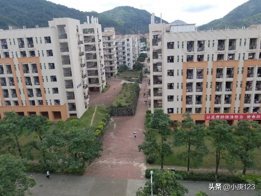 我眼中的岭南师范与广药大。