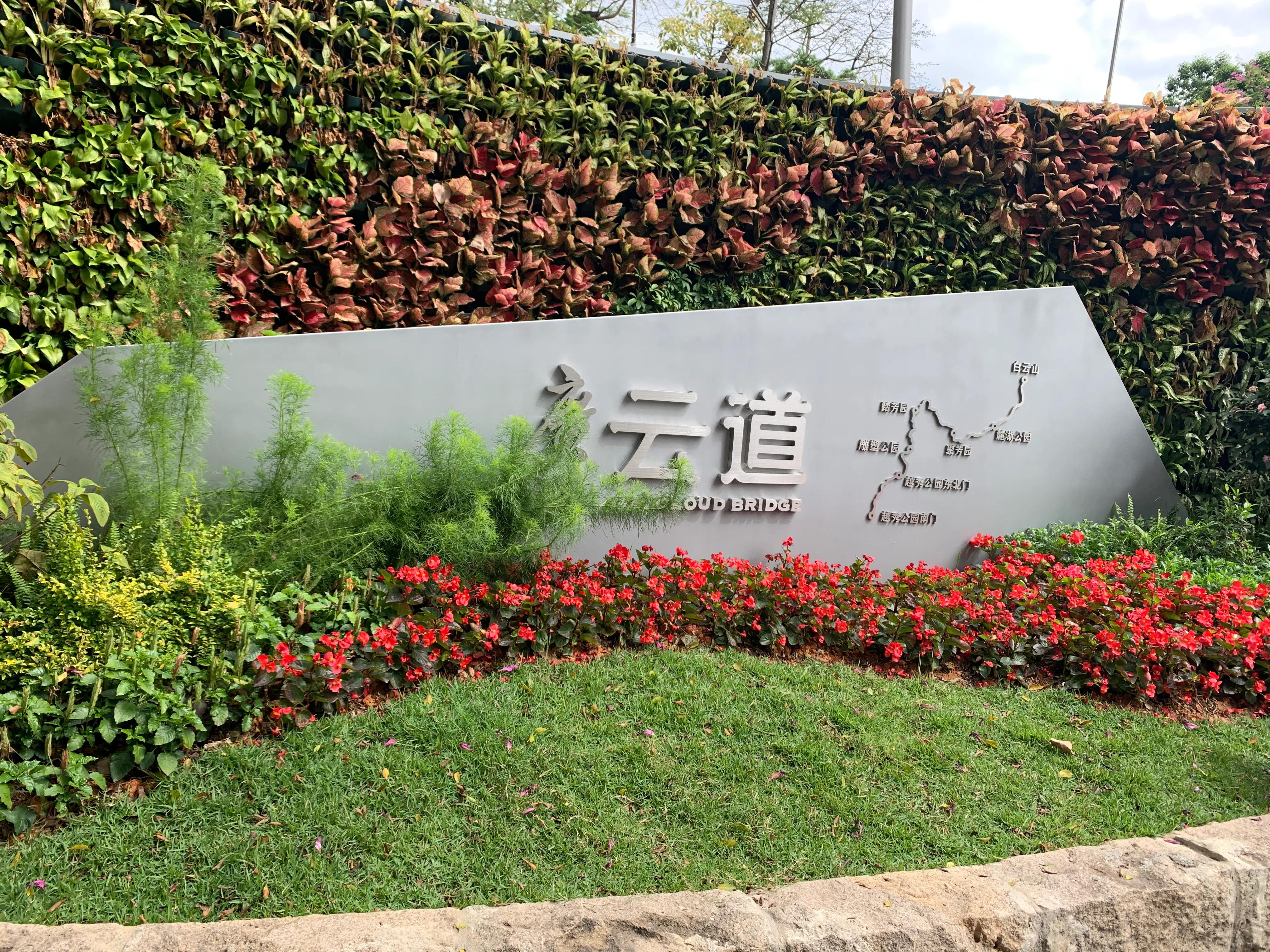 春节期间的越秀公园,越秀区元旦游玩