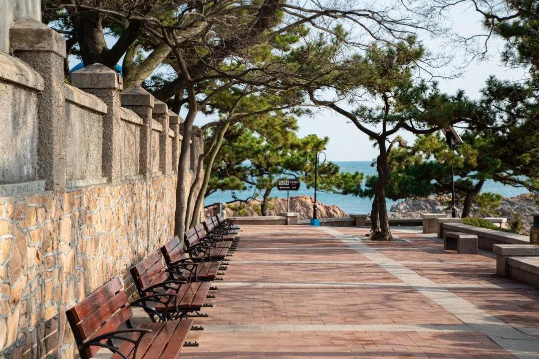 旅行清单青岛,青岛旅游攻略结束语