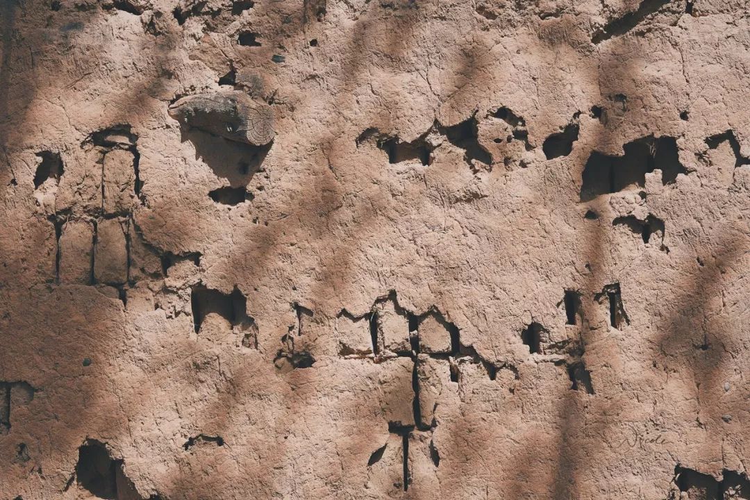 可盐可甜是哪首歌的歌词,可盐可甜出自哪