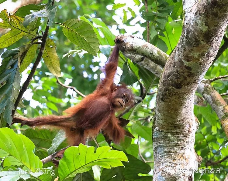 希望疫情早点结束能陪孩子多走走,待疫情彻底过去