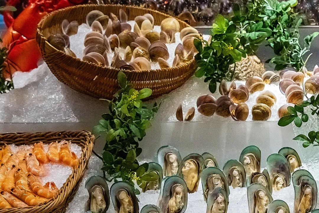 蛤蜊蚶子蛏子区别,蛏子海螺牡蛎蛤蜊