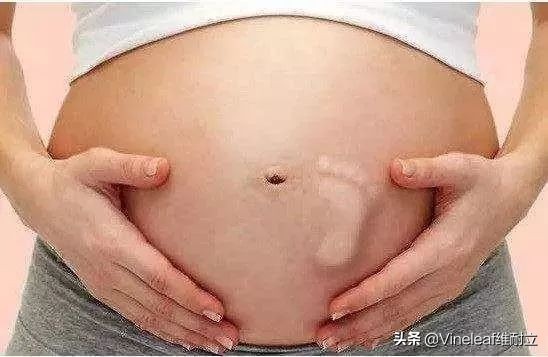 数胎动哪个软件好,孕中期怎么数胎动