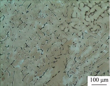 奥氏体不锈钢温度对塑性的影响,奥氏体不锈钢与碳钢焊接热处理