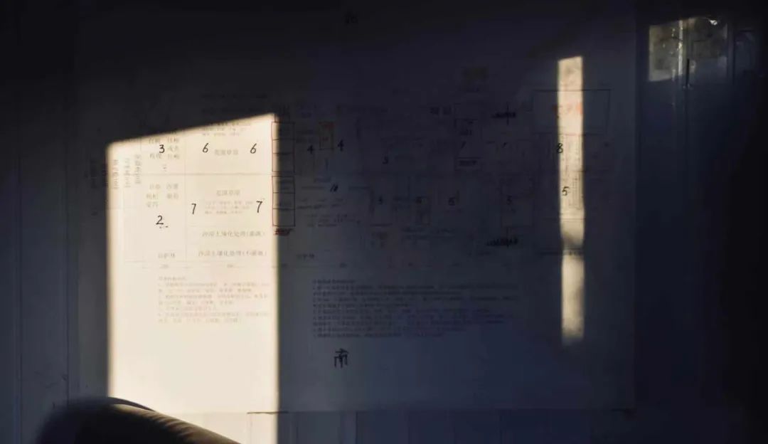 中国大沙漠的淘金客：*子骗**、教授与巨头