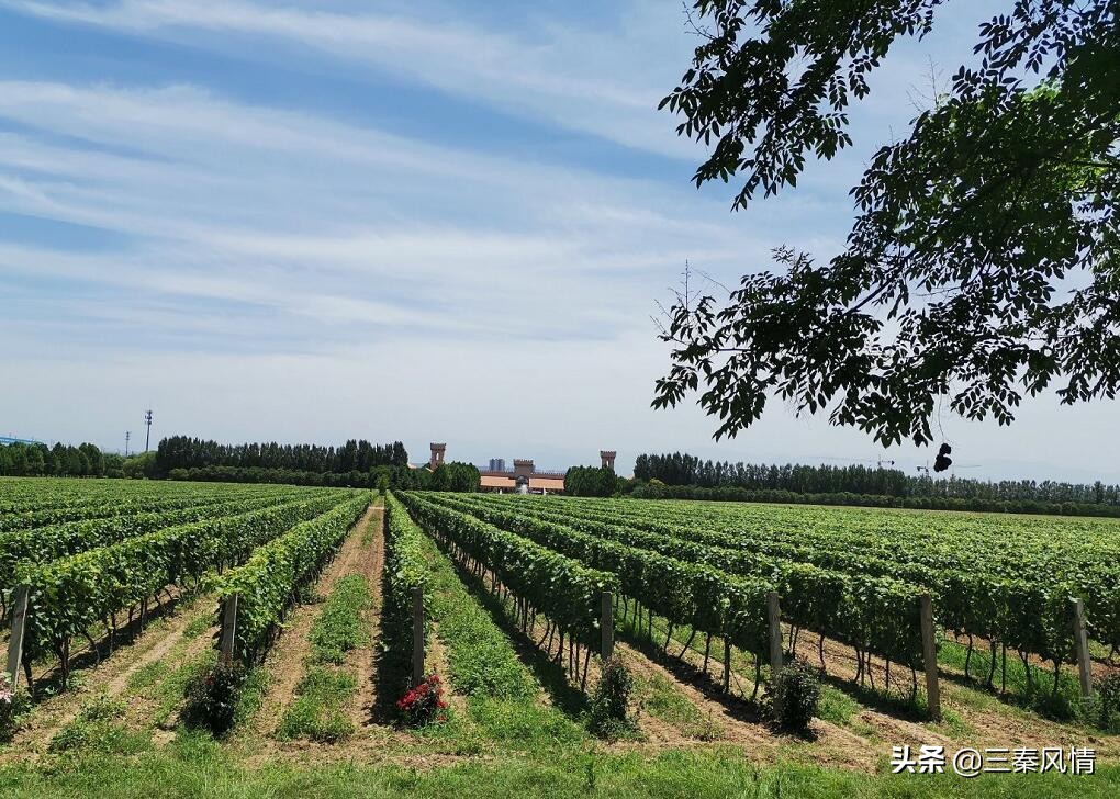 西安欧式古堡,西安有一个很大的欧式风格的城堡