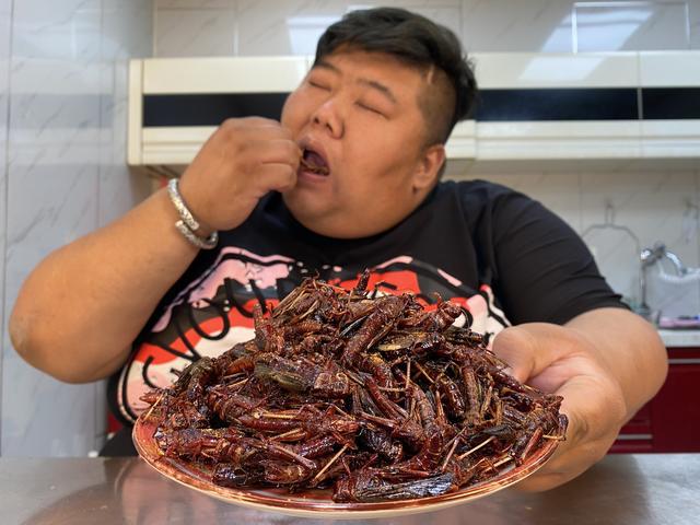 网红胖猴仔和泡泡龙,泡泡龙悲剧再次上演网红胖猴仔