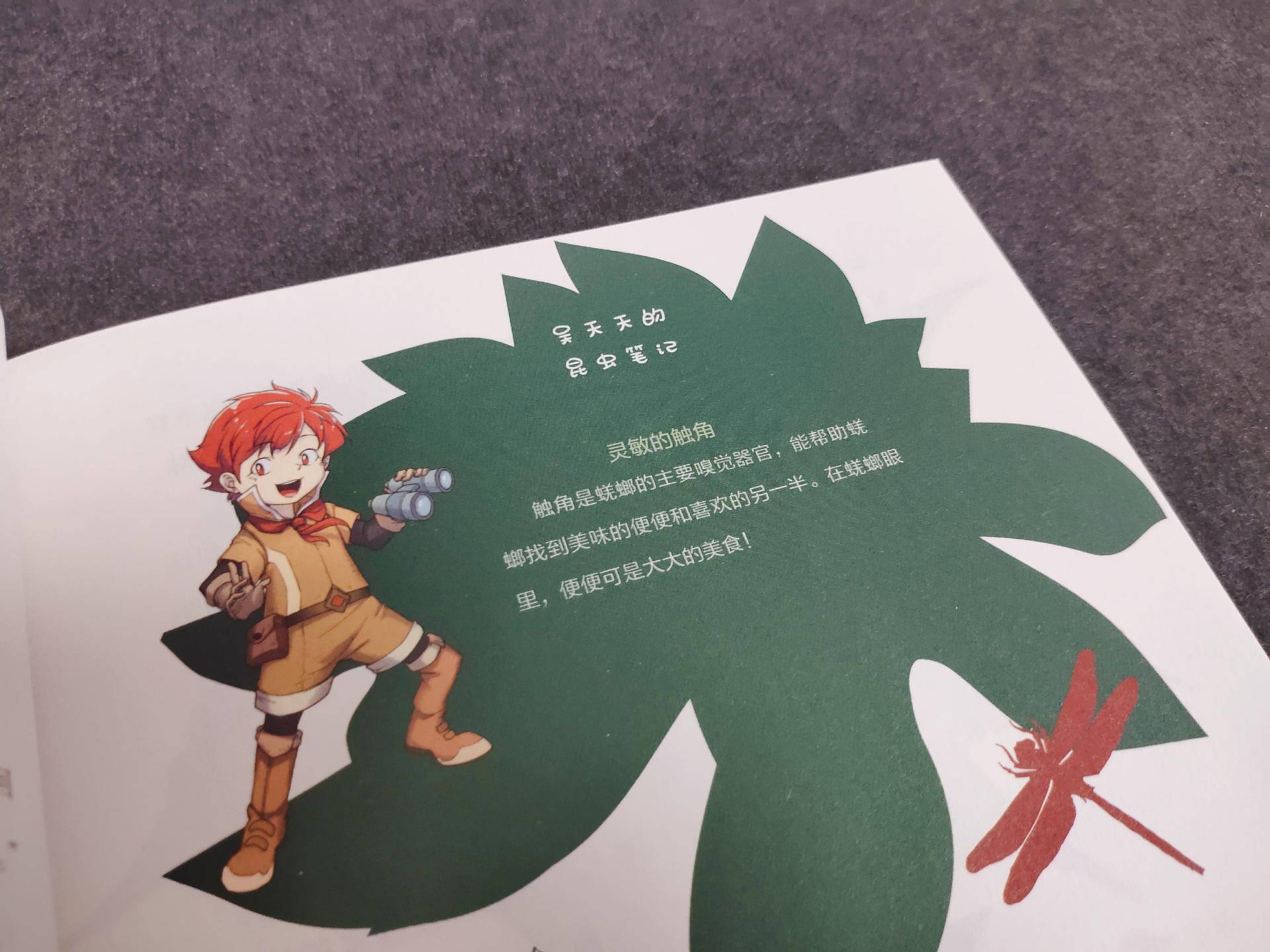 适合陪小孩一起看的书,适合孩子读的童书