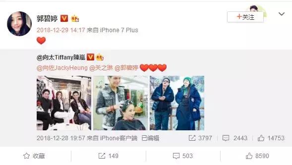郭碧婷和向佐怎么谈恋爱,郭碧婷和向佐谈了多久恋爱啊