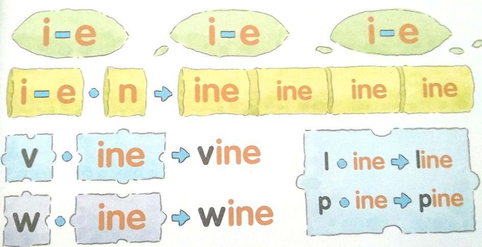 别再被英文培训班误导了，这才是真正的自然拼读