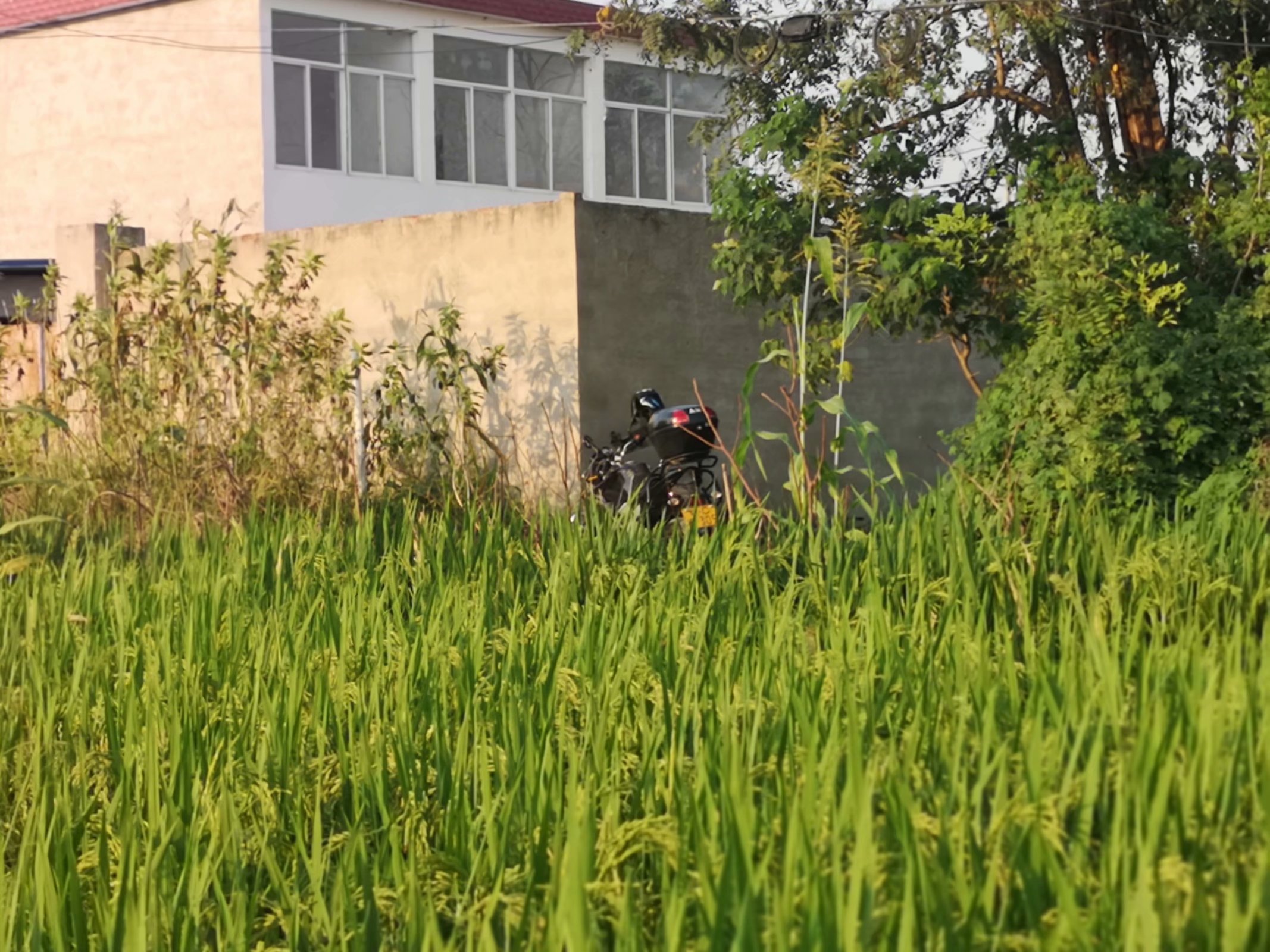 摩托自驾景点附近,蚌埠古迹半日游