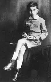 沦为连鞋带都不会绑的巨婴，只是因为对数学纯粹的热爱