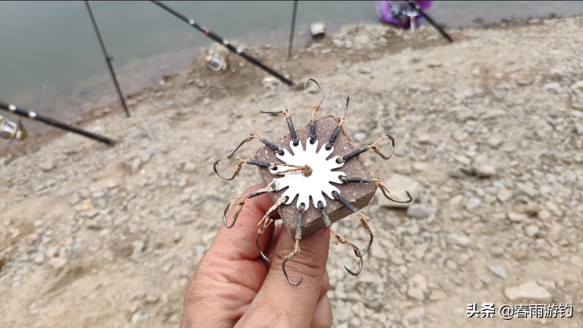 黄尾鲴钓鱼技巧方法视频,垂钓黄尾鱼诀窍