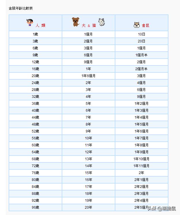 仓鼠繁育注意事项,仓鼠怀孕后的注意事项
