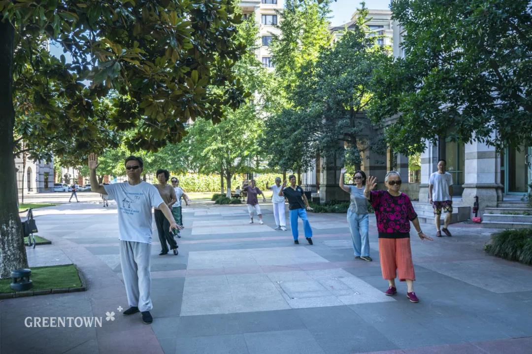 绿城印象通州发布会,绿城印象mcn