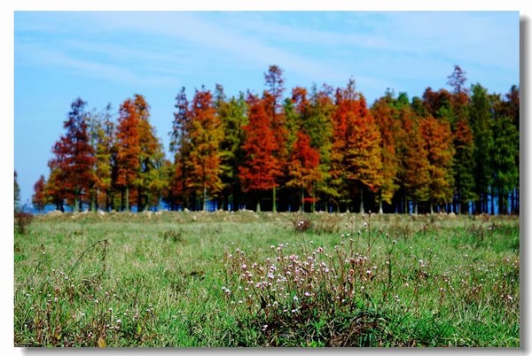 余姚四明湖开元山庄,余姚四明湖开元山庄自驾游