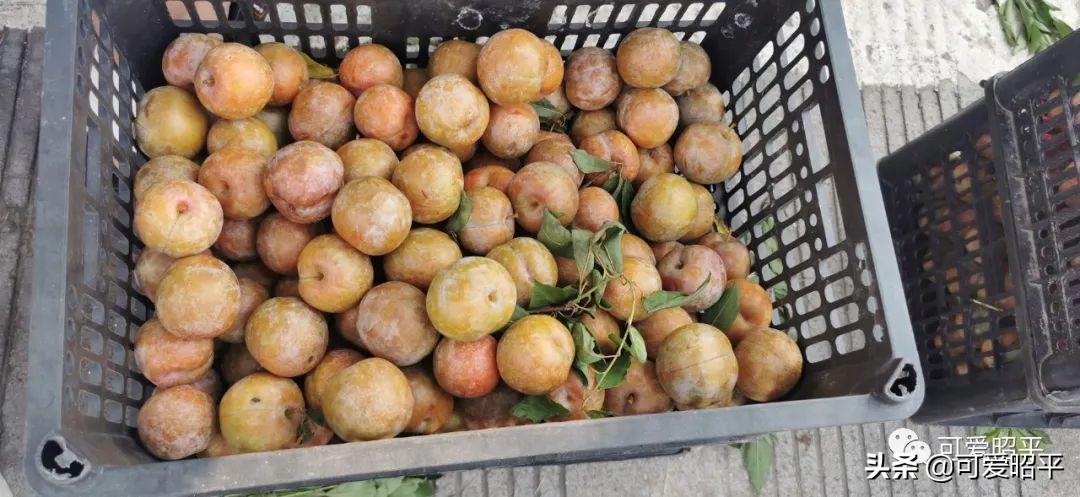 记住乡愁容县篇,记住乡愁视频美食