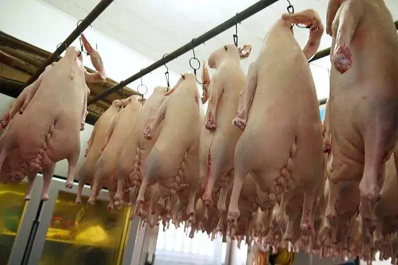 称霸宁波的这8家熟食店，每家都有几十年的故事……