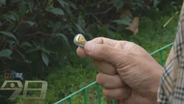 老人去青海旅游买玉,老人拿金首饰换硬金