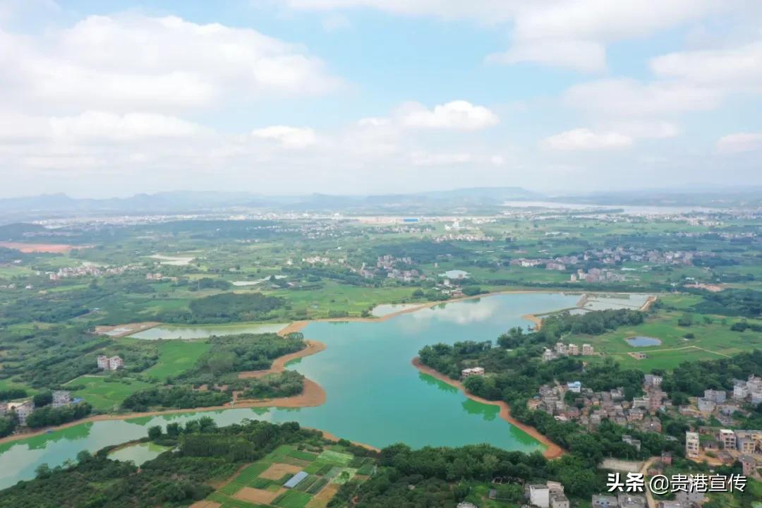 棒棒哒！贵港这个村致富有妙招