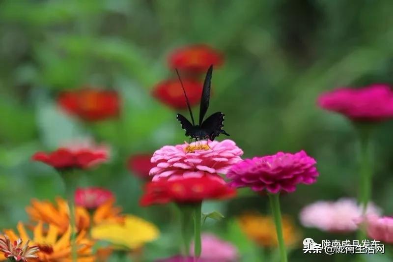 我叫成县,这是我2019年的自拍照