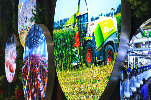 春游江淮请你来滁州版,春游江淮等您来