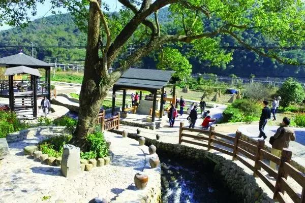 婺源油菜花田风景,藏于江西婺源深山中小村子